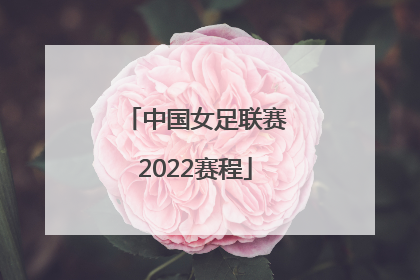 「中国女足联赛2022赛程」2022中国女足世界杯赛程