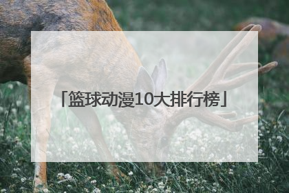 「篮球动漫10大排行榜」中国篮球电影10大排行榜