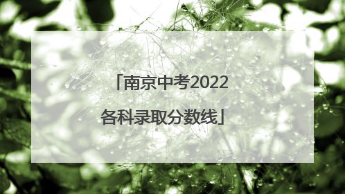 南京中考2022各科录取分数线