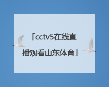 「cctv5在线直播观看山东体育」央视cctv5+体育在线直播手机观看