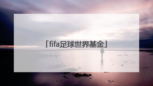 「fifa足球世界基金」Fifa足球世界基金17500